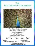 Peacocks Cover